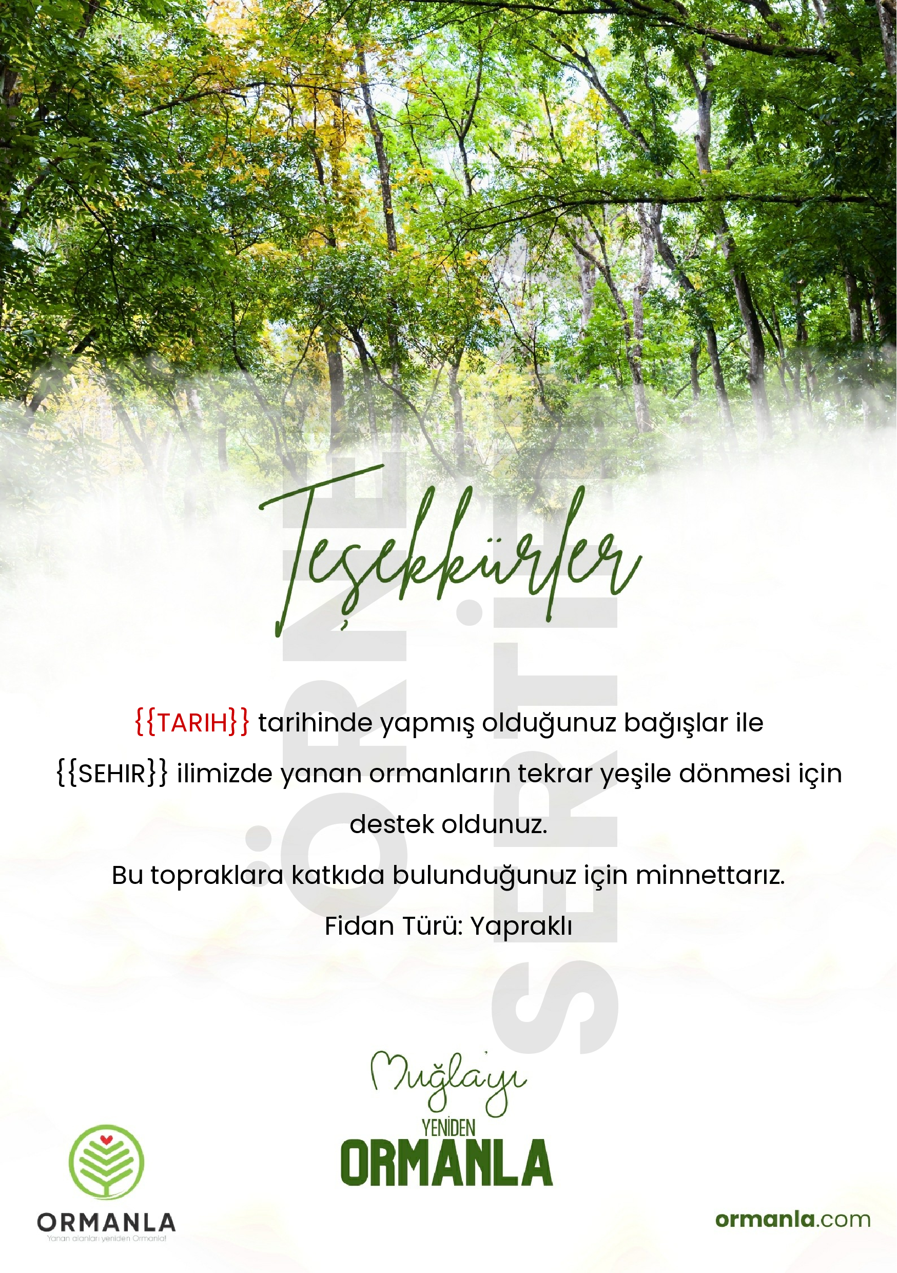 Muğla-Y