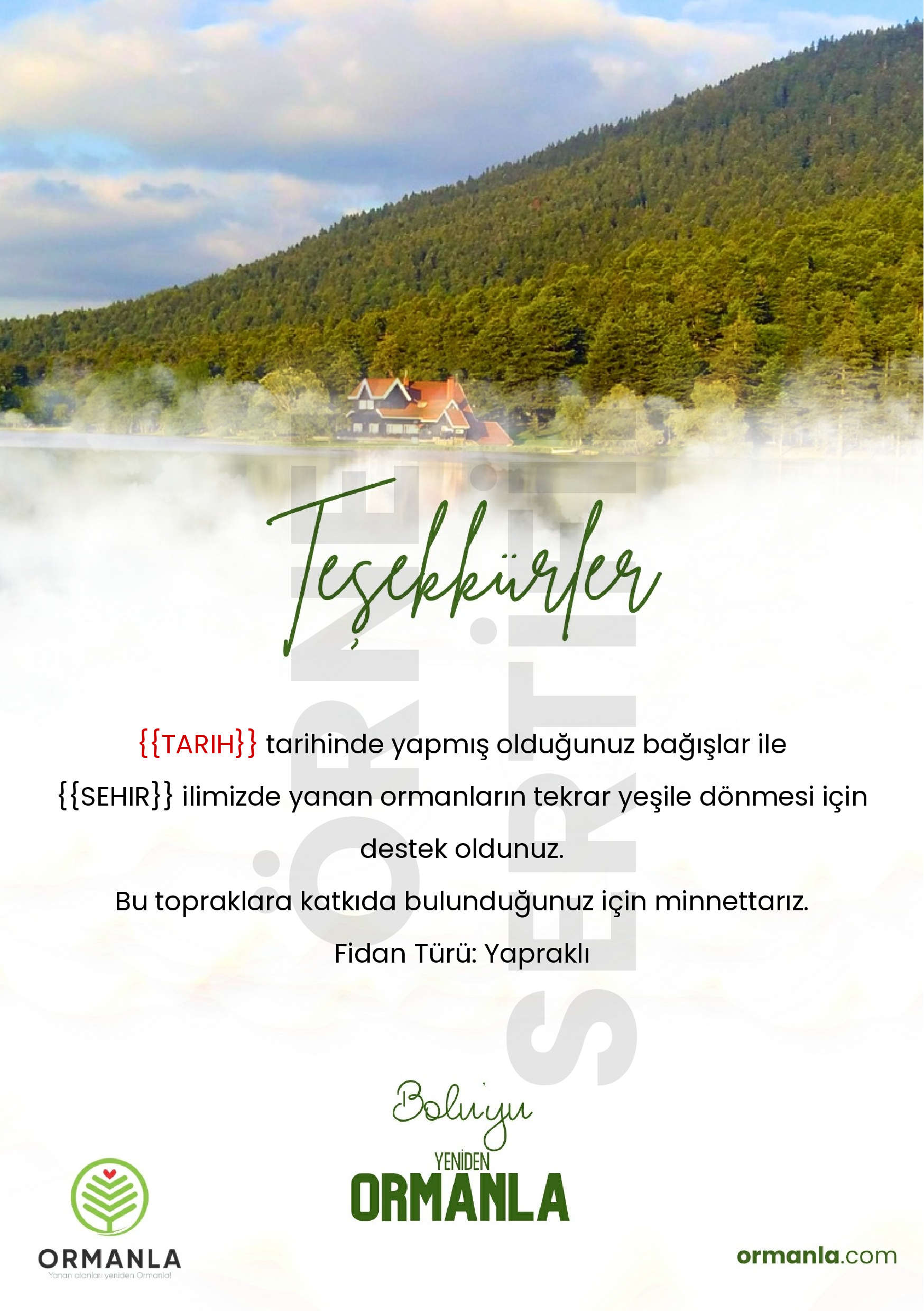 Bolu-Y