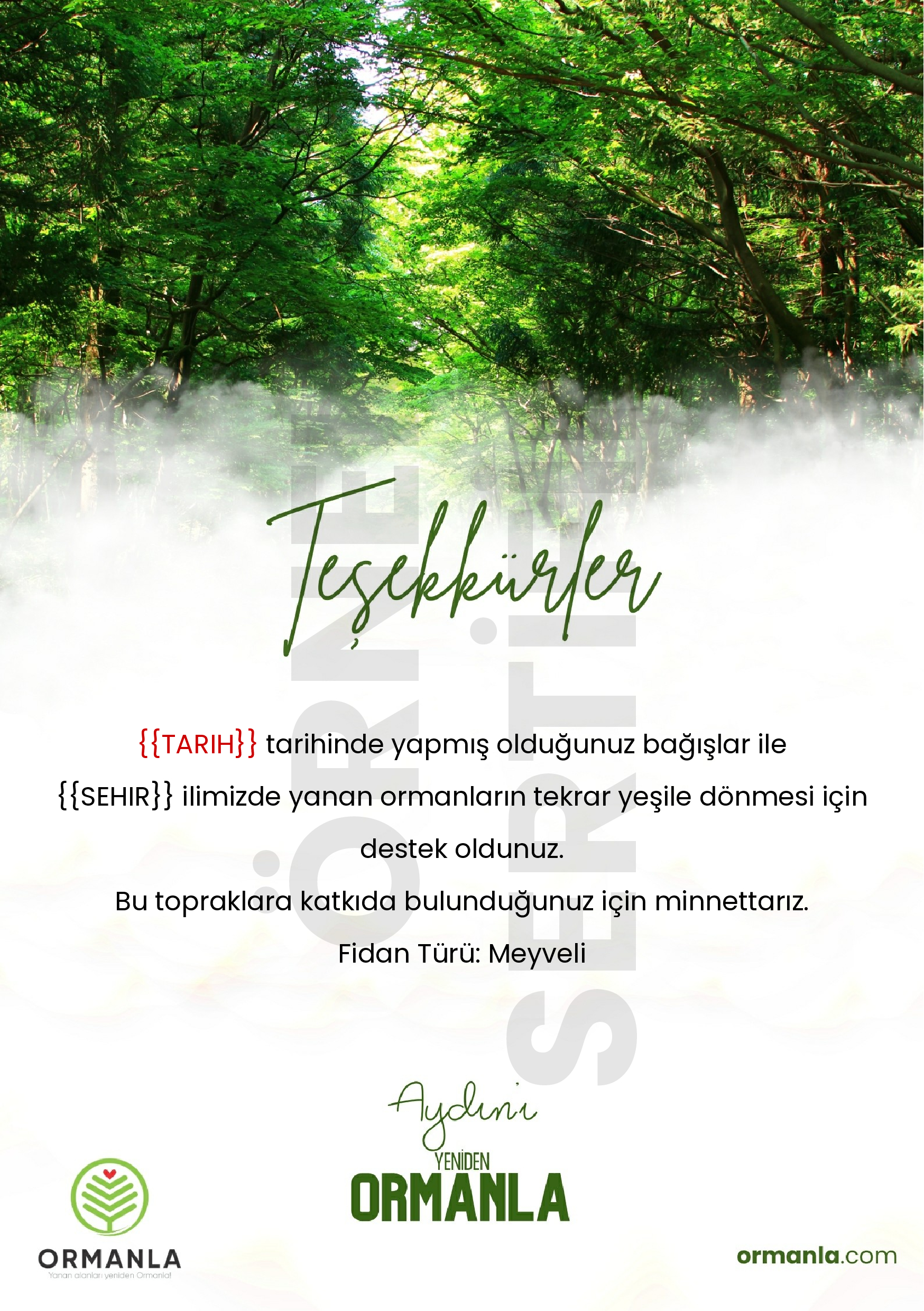 Aydin-M