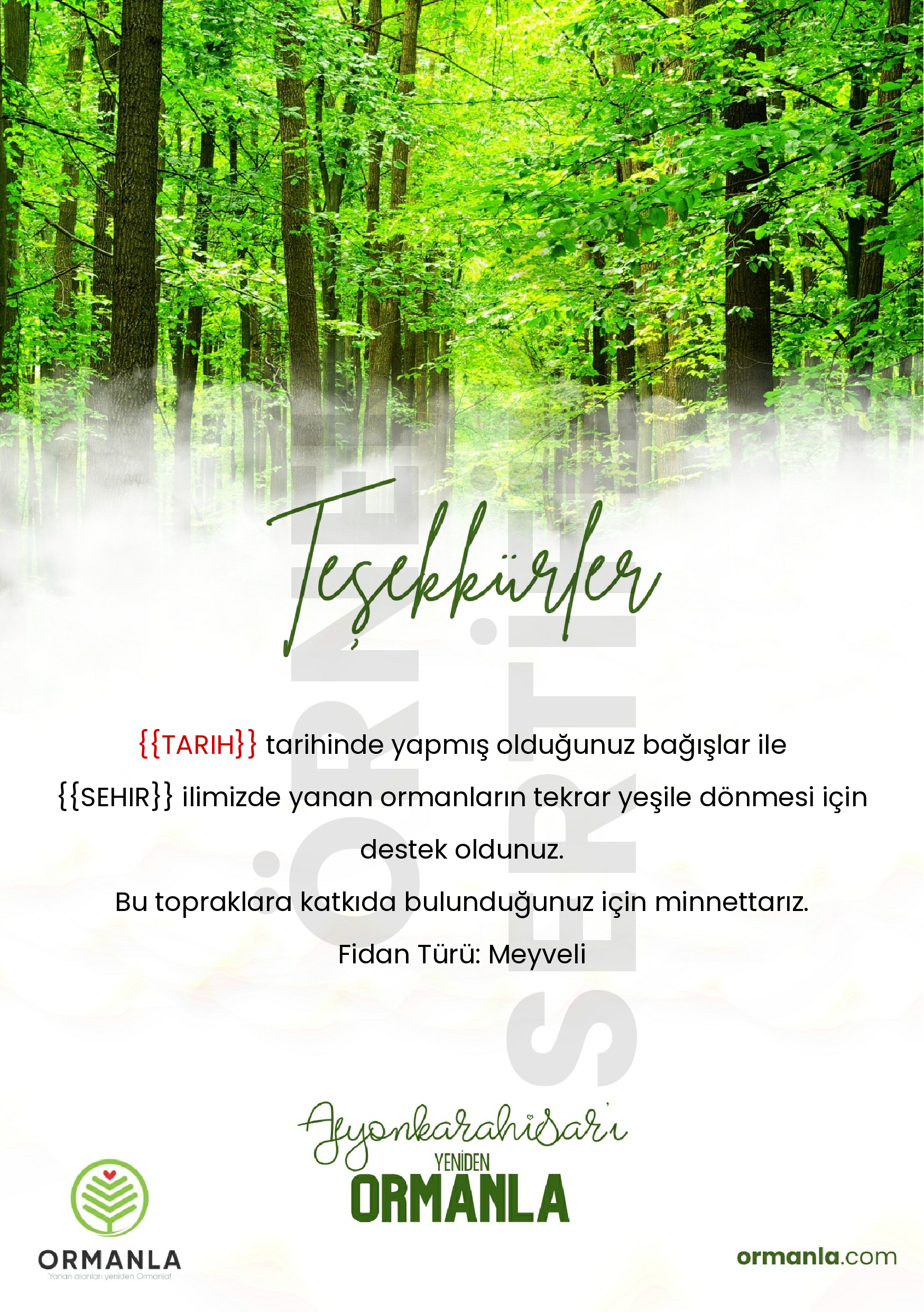 Afyonkarahisar-M