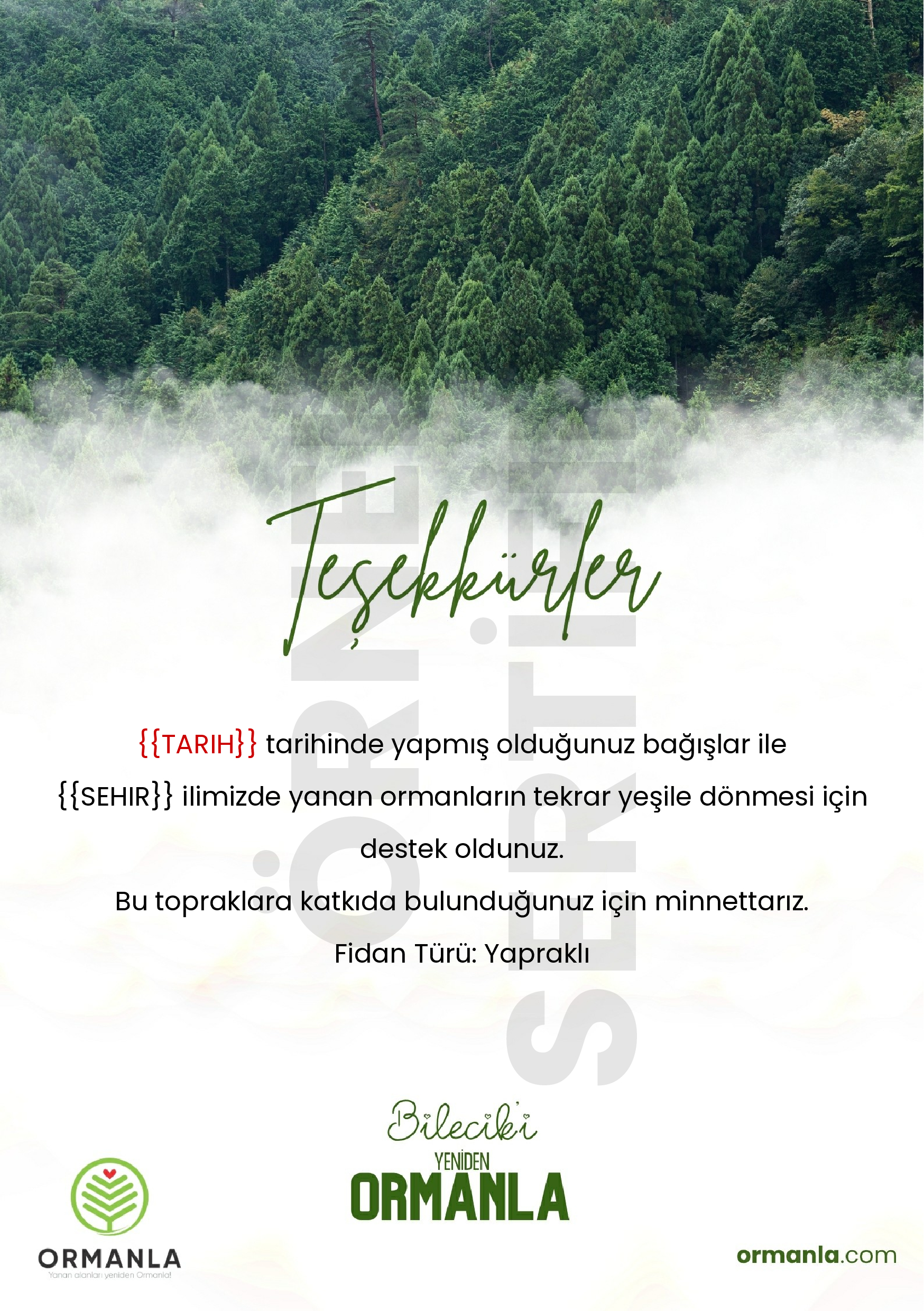 Bilecik-Y