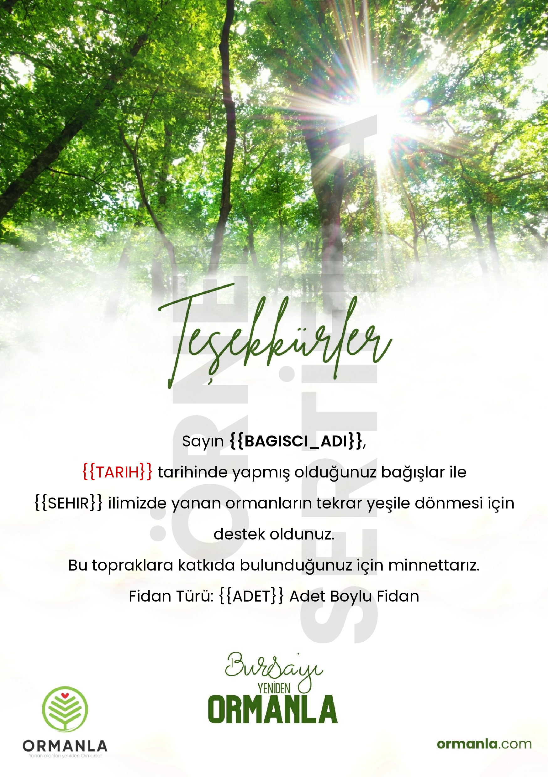 Bursa-b